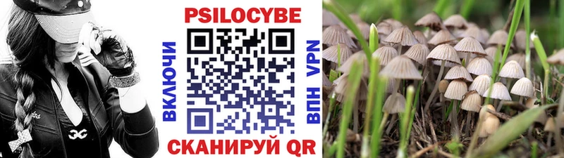 купить закладку  Переславль-Залесский  Галлюциногенные грибы Cubensis 